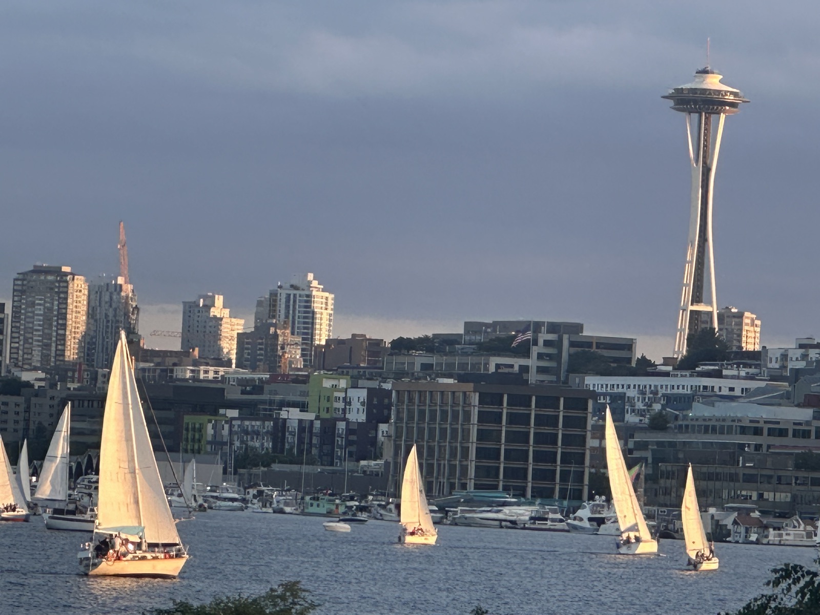 Sailboats racing with the Space Needle